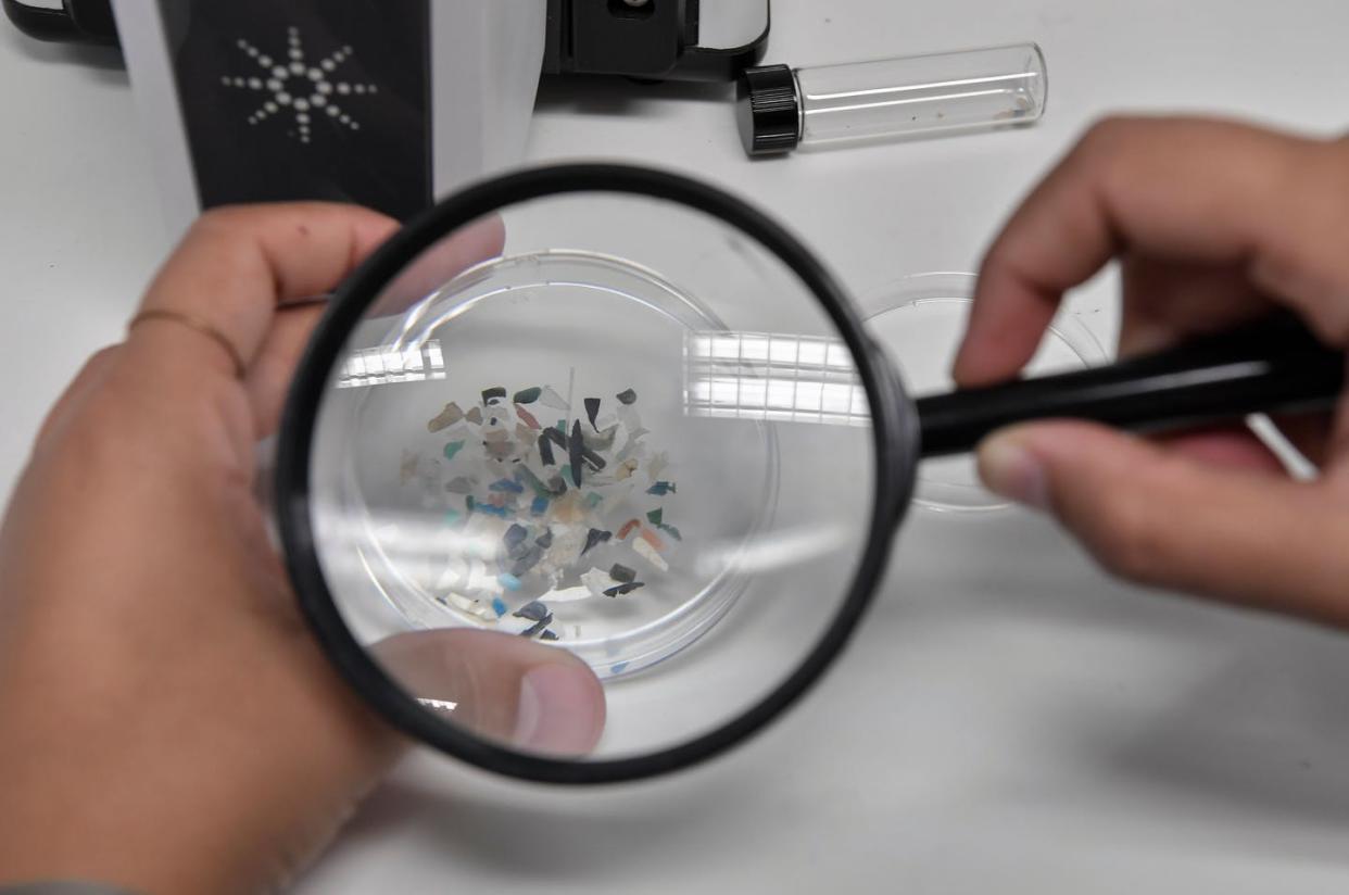 <span class="caption">A biologist examines microplastics found in sea species at the Hellenic Centre for Marine Research in Greece, Nov. 26, 2019.</span> <span class="attribution"><a class="link " href="https://www.gettyimages.com/detail/news-photo/biologist-looks-at-microplastics-found-in-sea-species-at-news-photo/1185691931?adppopup=true" rel="nofollow noopener" target="_blank" data-ylk="slk:Louisa Gouliamaki/AFP via Getty Images;elm:context_link;itc:0;sec:content-canvas">Louisa Gouliamaki/AFP via Getty Images</a></span>