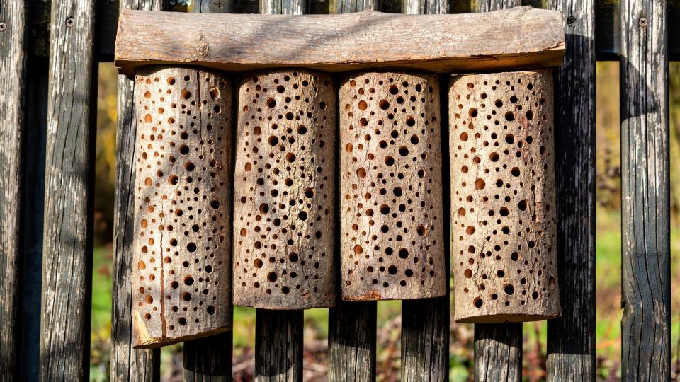 bug hotel fence