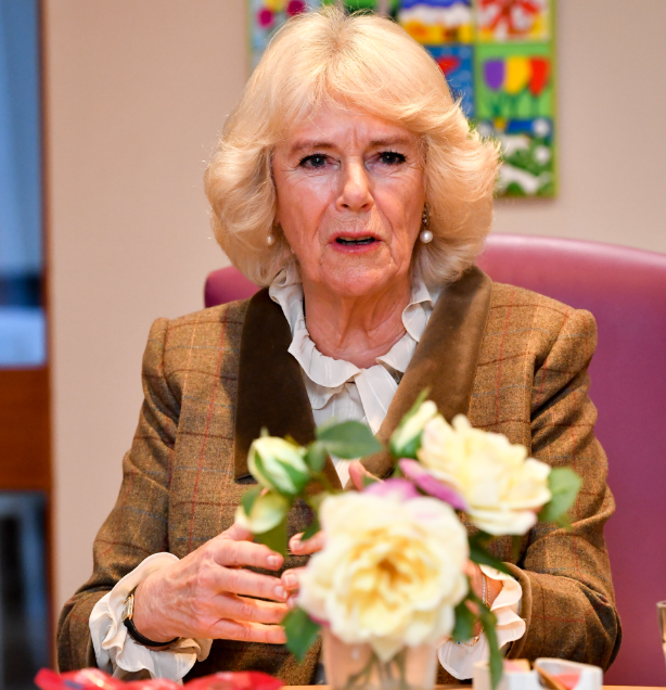 Camilla, Duchess of Cornwall at a hospice wearing a brown coat and white shirt