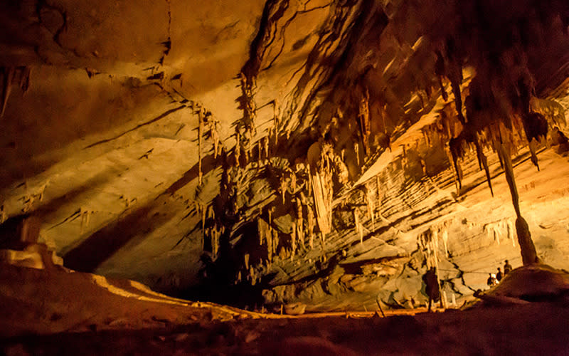 Walking through an underground cave below the park - the most still and tranquil experience.