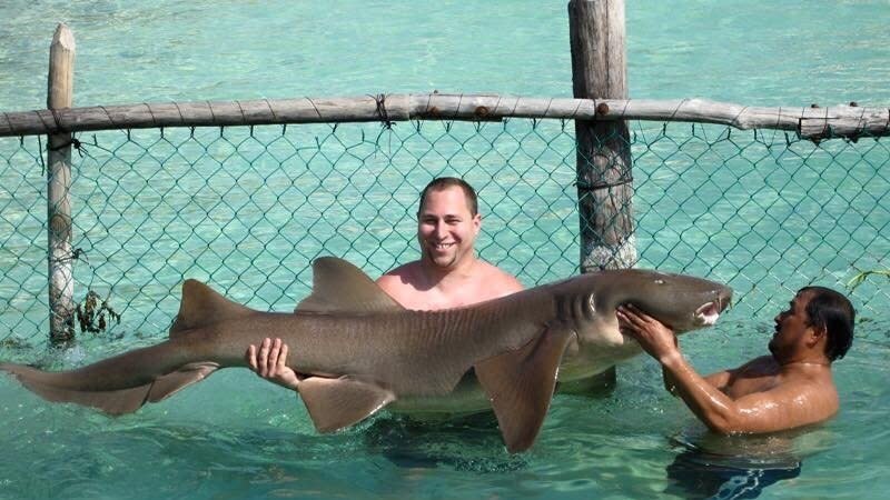 Un turista se hace una foto con el tiburón (Change.org)