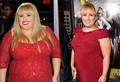 Bridesmaids comedian and actress Rebel Wilson ended her contract with Jenny Craig this year after initially shedding 15 of the 25 kg loss she had promised.