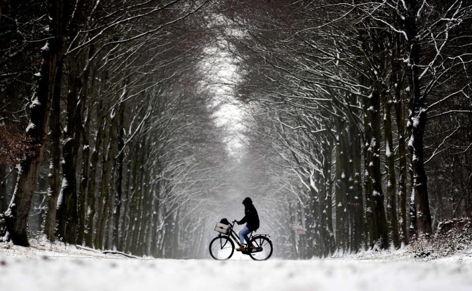 The Netherlands: (EPA/KOEN VAN WEEL)