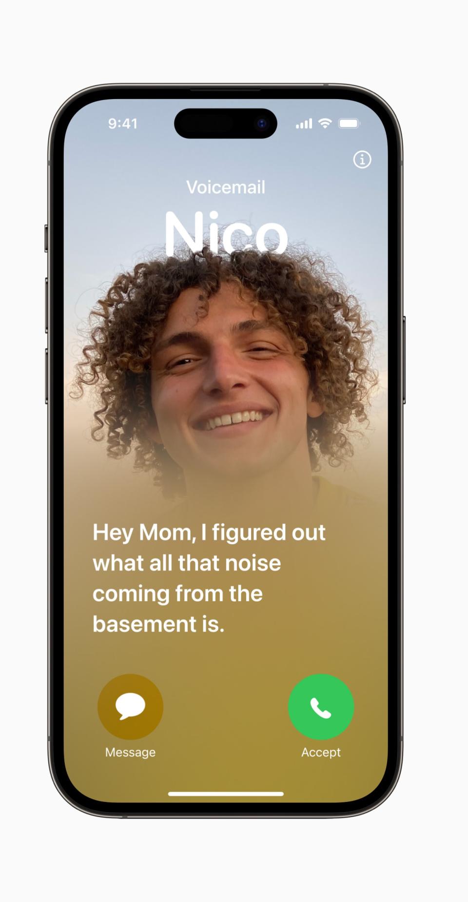 An iPhone screen displaying a Facetime call request with a note