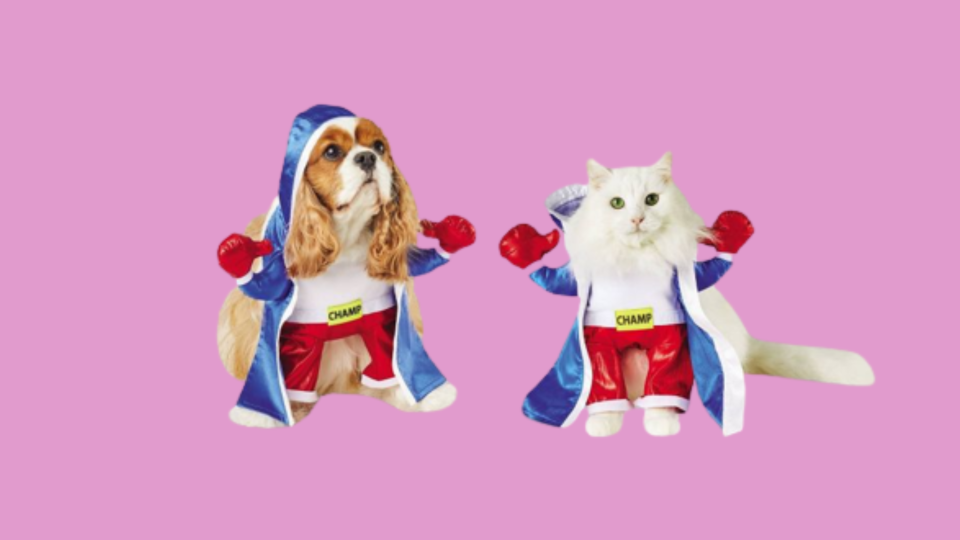 Popular Dog Costumes: Hyde & Eek! Boutique Boxer Dog and Cat Costume