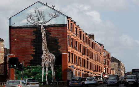 A giraffe mural is seen on the gable end of a building in Shettleston Road in Glasgow East, in Glasgow, Scotland, September 29, 2017. Photograph taken on September 29, 2017. REUTERS/Russell Cheyne