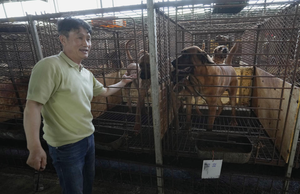 Kim Jong-kil speaks at his dog farm in Pyeongtaek, South Korea, Tuesday, June 27, 2023. Kim says he’s proud of the dog meat farm that has supported his family for 27 years, but is upset over growing attempts by politicians and activists to outlaw the business, which he is turning over to his children. (AP Photo/Ahn Young-joon)