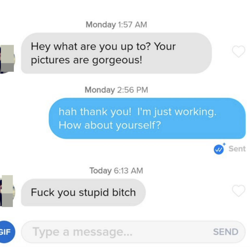 "Hey what are you up to? Your pictures are gorgeous"; "Hah thank you! I'm just working; how about yourself?" "Fuck you stupid bitch"