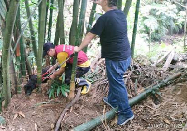 新北市多山區，常見動物遭山豬吊或捕獸鋏夾傷，新北市動保處接獲通報即刻進行救援。   圖：新北市動保處提供