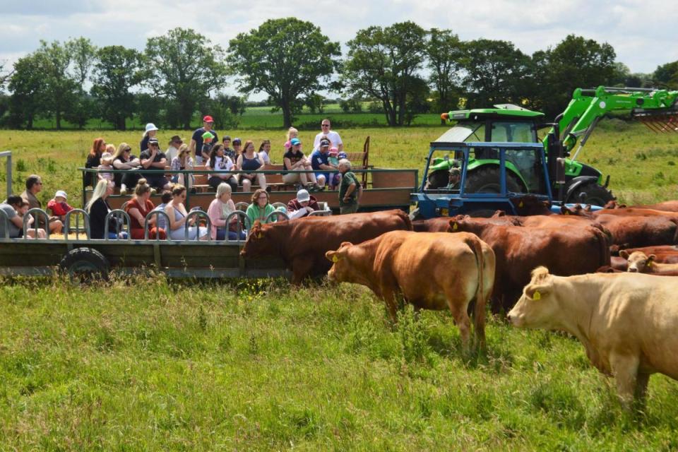 Open Farm Sunday returns on June 11, 2023. Pictured is an event at Castle Farm in Swanton Morley in 2022 <i>(Image: Chris Hill)</i>