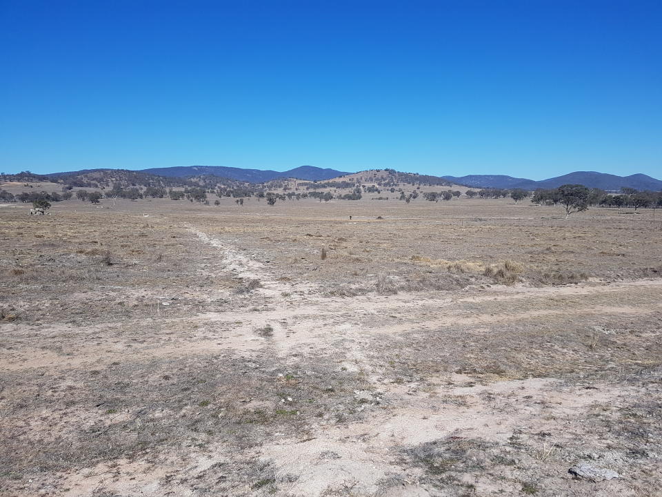 An empty, bare, dusty paddock. 