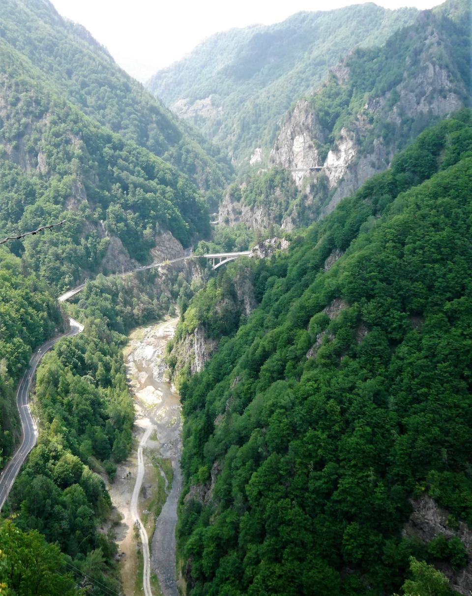 The river Arges below Poenari Fortress in Romania.