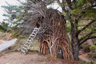 <h2>The Nest (Treebones Resort, Big Sur, Calif.)</h2> Artist Jayson Fann harvested individual branches and employed a unique “weaving” technique to create this tree house on a bluff above the Pacific Ocean. There are no amenities whatsoever—the nest isn’t even rainproof—but the branch-framed view of the ocean is better than high-def flat screen any day. <br><br><b>PRICE</b>: Rates from $110 with a minimum two-night stay. <br>treebonesresort.com (Photo: Harry Chen)