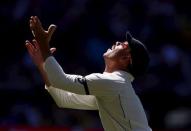 Australia's David Warner watches the ball but fails to take a catch from New Zealand's Doug Bracewell during the third day of the third cricket test match at the Adelaide Oval, in South Australia, November 29, 2015. REUTERS/David Gray