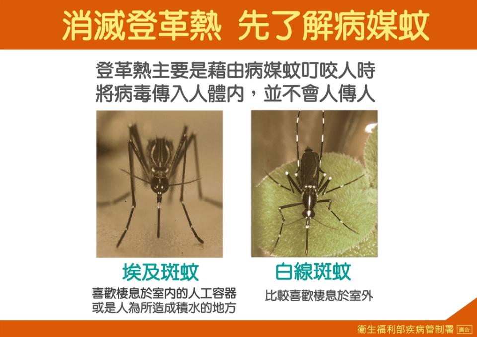 消滅登革熱，先了解病媒蚊（圖：衛福部疾管署）