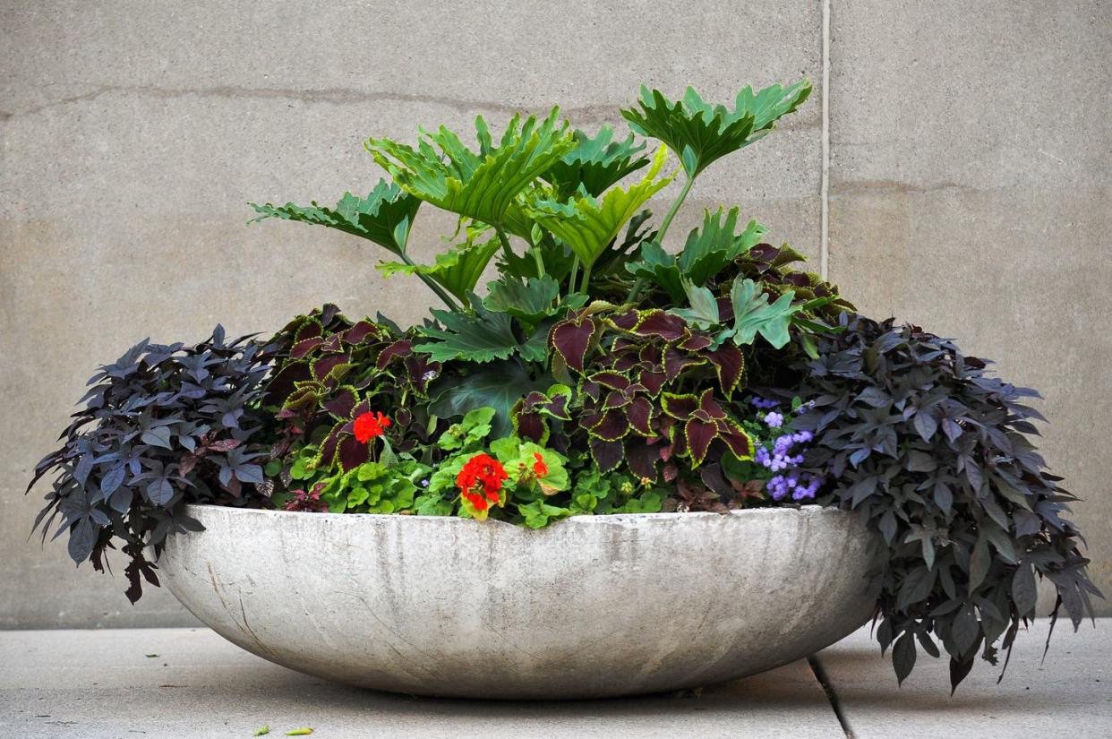 container gardening ideas