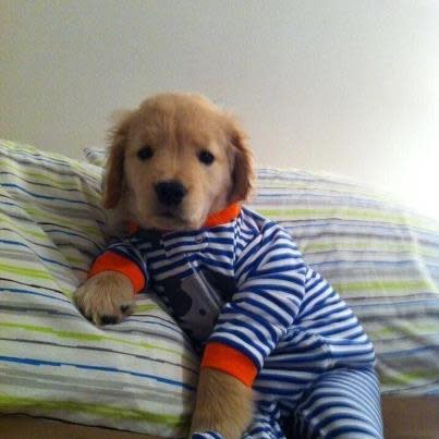 Bedtime!