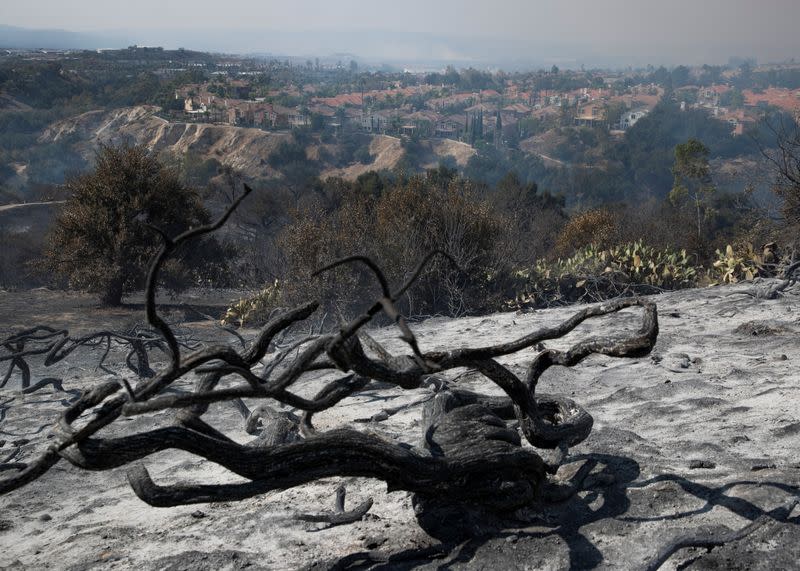 Some of the burn damage is shown from the wind driven Silverado wildfire in Lake Forest, California