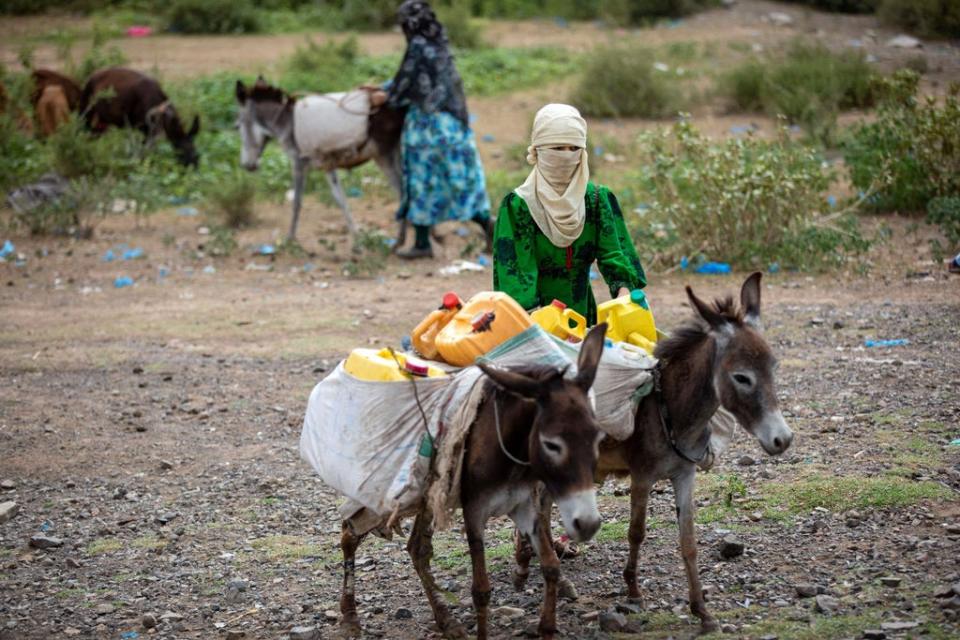 A Yemeni woman transports jerricans of water from a tanker  in the southwestern Al-Maafer district amid an extreme heat wave and severe water shortage (AFP via Getty Images)