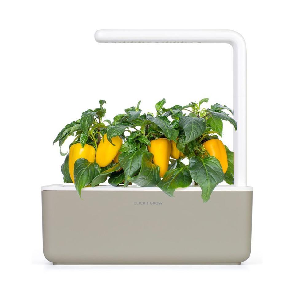 14) Indoor Herb Garden Kit with Grow Light