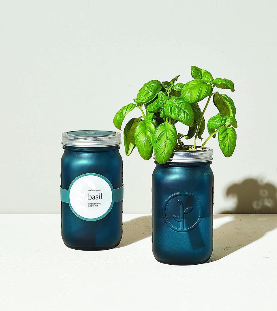 <p><a href="https://go.redirectingat.com?id=74968X1596630&url=https%3A%2F%2Fwww.uncommongoods.com%2Fproduct%2Fmason-jar-indoor-herb-garden&sref=https%3A%2F%2Fwww.delish.com%2Fkitchen-tools%2Fg45213225%2Fbest-gifts-under-20%2F" rel="nofollow noopener" target="_blank" data-ylk="slk:Shop Now;elm:context_link;itc:0;sec:content-canvas" class="link ">Shop Now</a></p><p>Mason Jar Indoor Herb Garden</p><p>Uncommon Goods</p><p>$20.00</p><span class="copyright">Uncommon Goods</span>