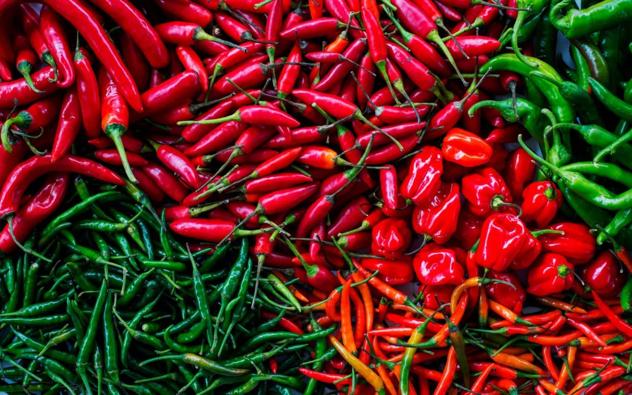What is the hottest chilli in the world? - Getty Images Contributor
