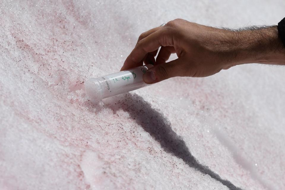 Biagio di Mauro takes samples on the Presena glacier in northern Italy (AFP via Getty Images)