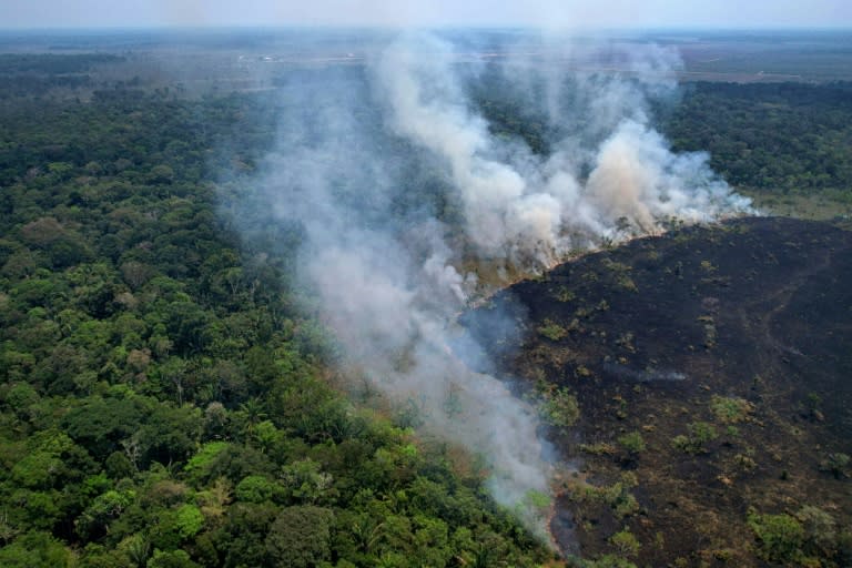 Según los datos del INPE, del 1 de enero al 21 de junio (última fecha disponible) fueron deforestados 1.525 kilómetros cuadrados, en comparación con 2.649 km2 en el primer semestre de 2023, una reducción de 42% (DOUGLAS MAGNO)