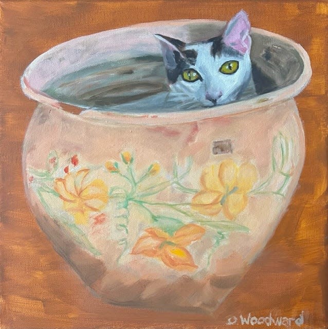 "Potted Cat" an oil by Debra Woodward