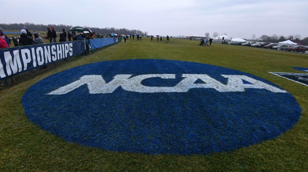 A view of the NCAA logo during the NCAA Cross Country Championships at the LaVern Gibson Championship Course at the Wabash Valley Family Sports Center.