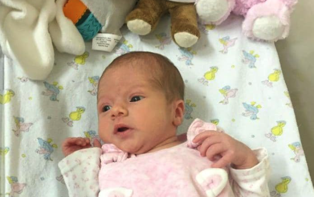 The youngster was found abandoned in North Wales (Picture: Conwy Council)