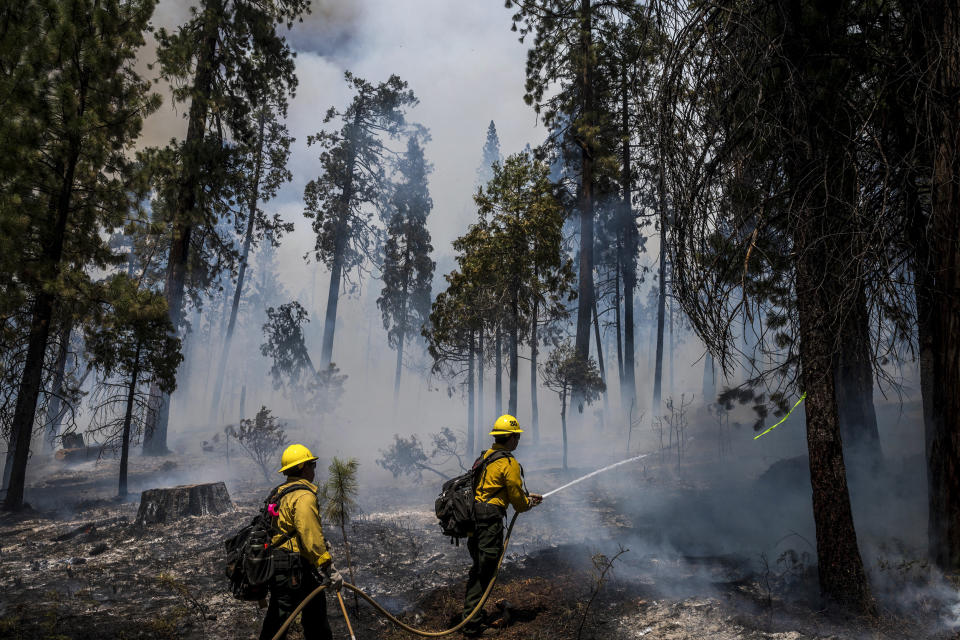 Image: Firefighters put out hot spots from the Washburn Fire in Yosemite National Park, Calif. on July 11, 2022. (Nic Coury / AFP via Getty Images)