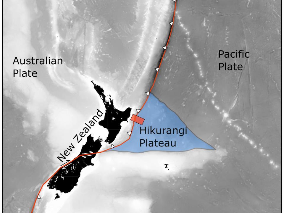 An image of New Zealand with the Australian plate, Pacific plate, and Hikurangi Plateau labeled.