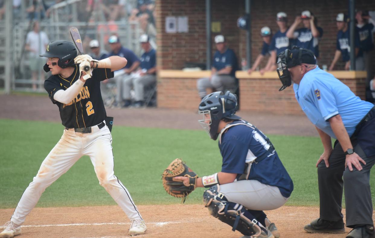 Red Lion's Connor Lawrence (batting) was a first team all-star last season.