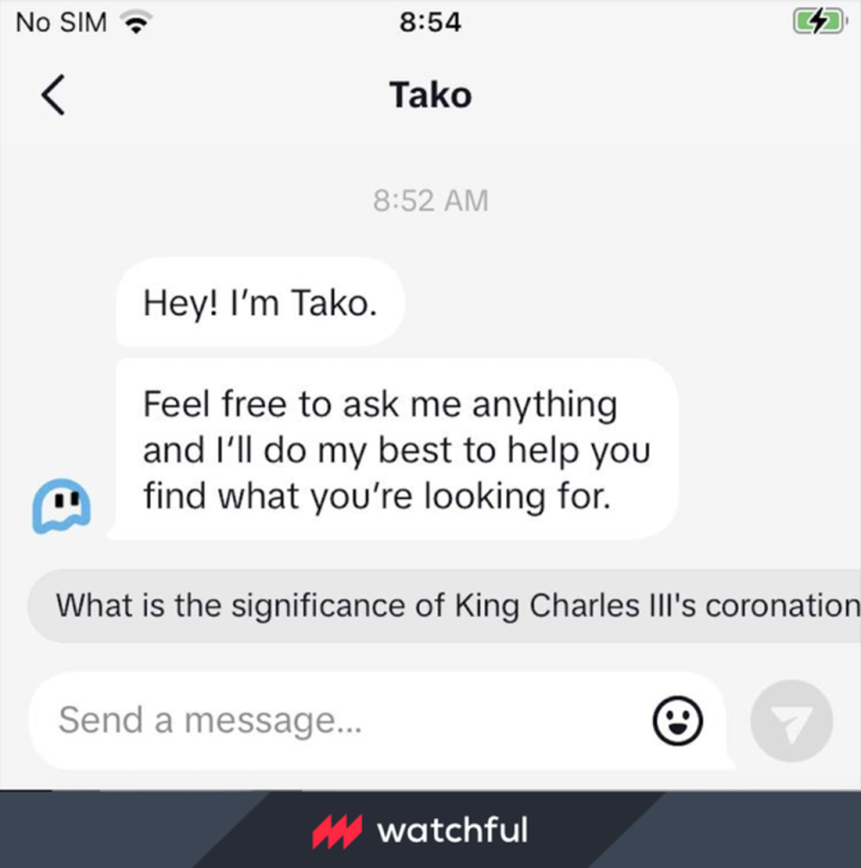 TikTok&#x002019;s chatbot resembles a cartoon ghost from the video game Pac-Man (Watchful)