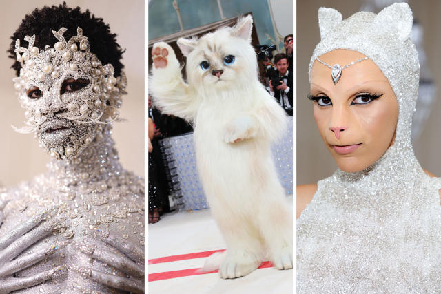 karl lagerfeld cat: Karl Lagerfeld's pet cat Choupette reveals why she  decided to ditch Met Gala 2023 red carpet - The Economic Times