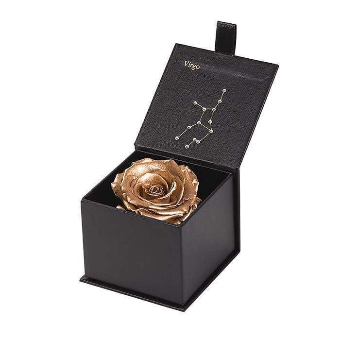 Astor Eternal Rose Gift Box