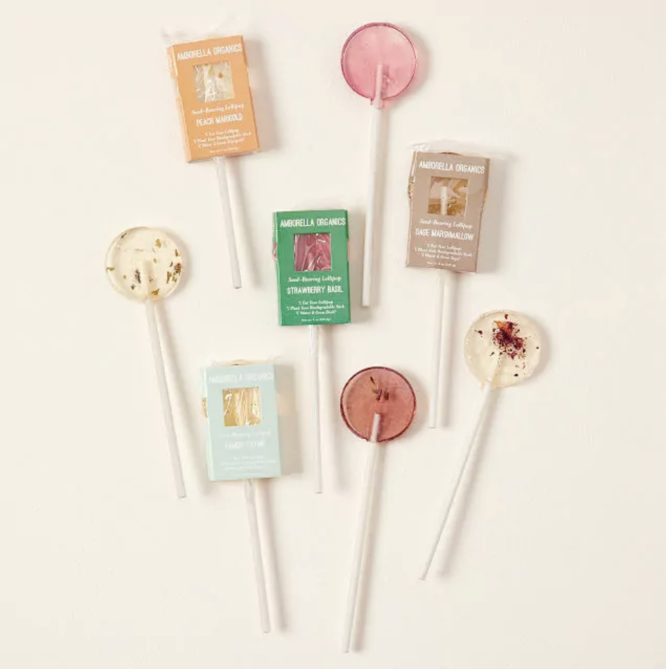 <p><a href="https://go.redirectingat.com?id=74968X1596630&url=https%3A%2F%2Fwww.uncommongoods.com%2Fproduct%2Fblooming-lollipops&sref=https%3A%2F%2Fwww.countryliving.com%2Fshopping%2Fg61145037%2Fbridal-shower-favors%2F" rel="nofollow noopener" target="_blank" data-ylk="slk:Shop Now;elm:context_link;itc:0;sec:content-canvas" class="link ">Shop Now</a></p><p>Blooming Flower Lollipops</p><p>Uncommon Goods</p><p>$20.00</p><span class="copyright">Brennan Clarke and Taylor Clarke</span>