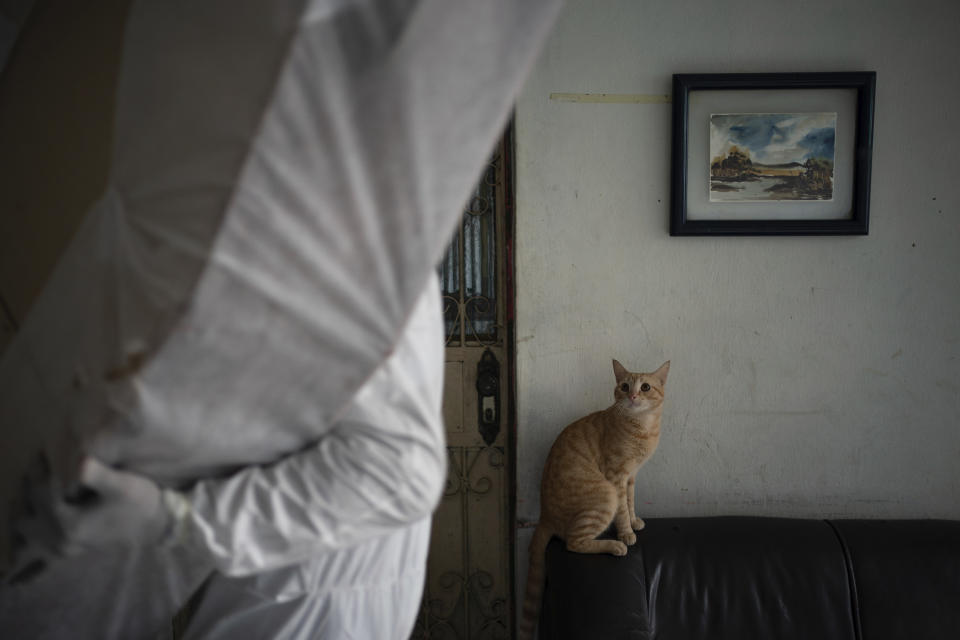 Un gato observa mientras un trabajador de SOS Funeral retira el cadáver de un hombre con problemas de salud previos que murió en su casa durante la pandemia del coronavirus, en Manaos, Brasil, el 9 de mayo de 2020. Per cápita, Manaos es la ciudad de Brasil más golpeada por el COVID-19. (AP Foto/Felipe Dana)