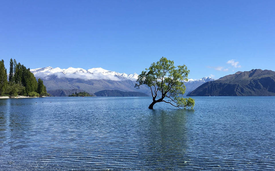 瓦納卡湖（Image Source : Getty Creative/iStockphoto）