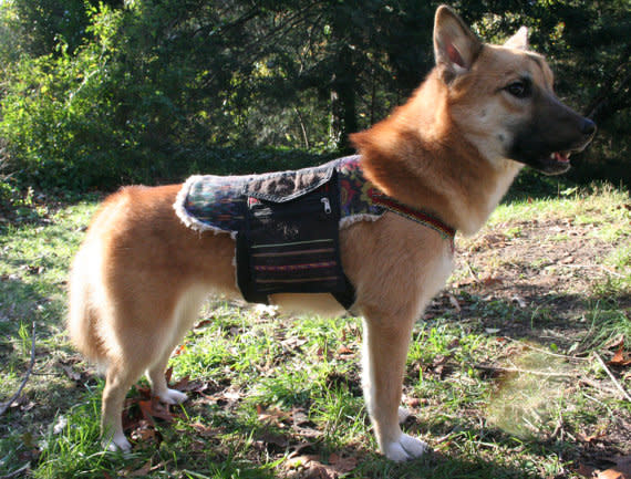 Hippie Dog Backpack