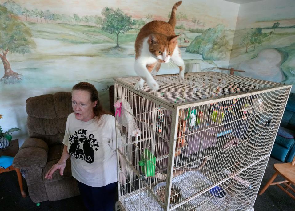 Shoshannah Tempest is pictured with some of her roughly 100 pets at the now-closed Compassion In Healthcare assisted-living home in Daytona Beach. After an eviction this week, all the pets have found new places to go, according to Rebecca Lynch, president of DeLand-based Poodle and Pooch Rescue.