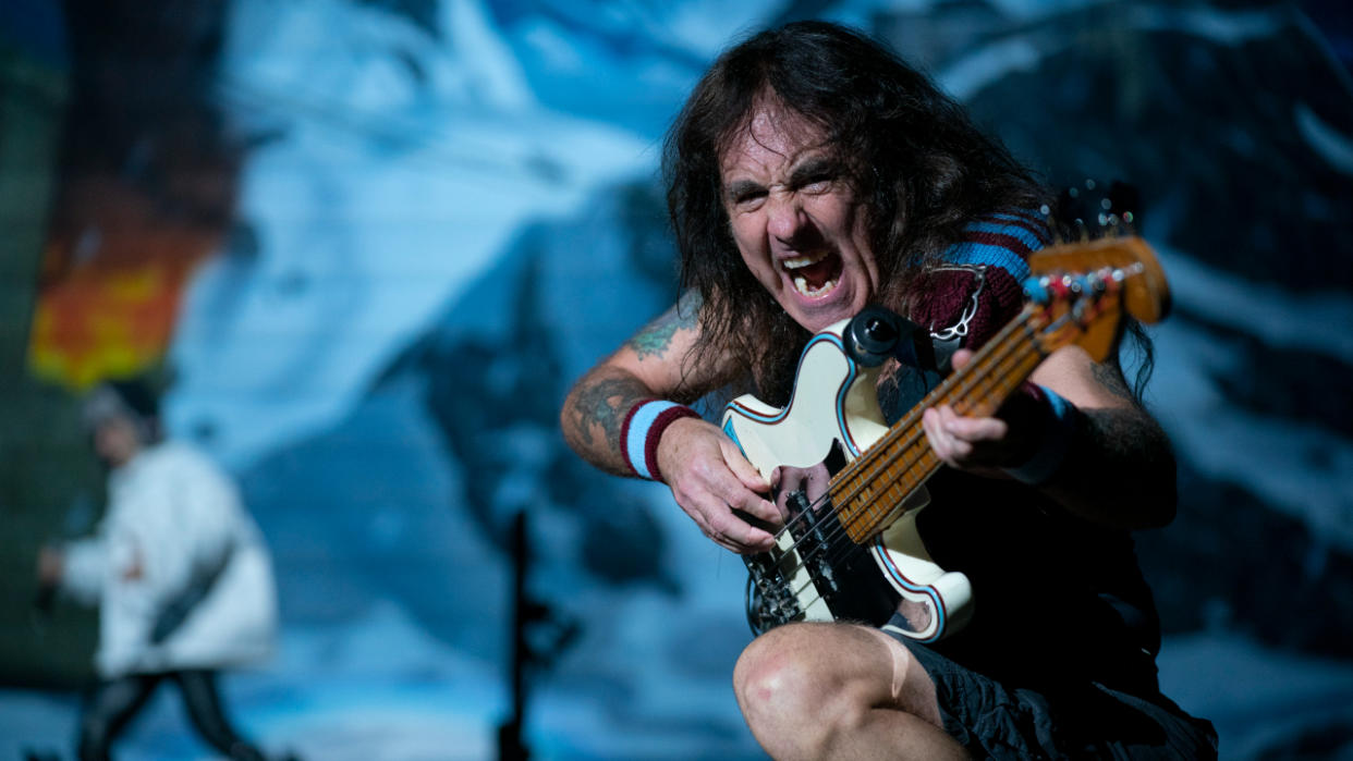  Steve Harris on stage 