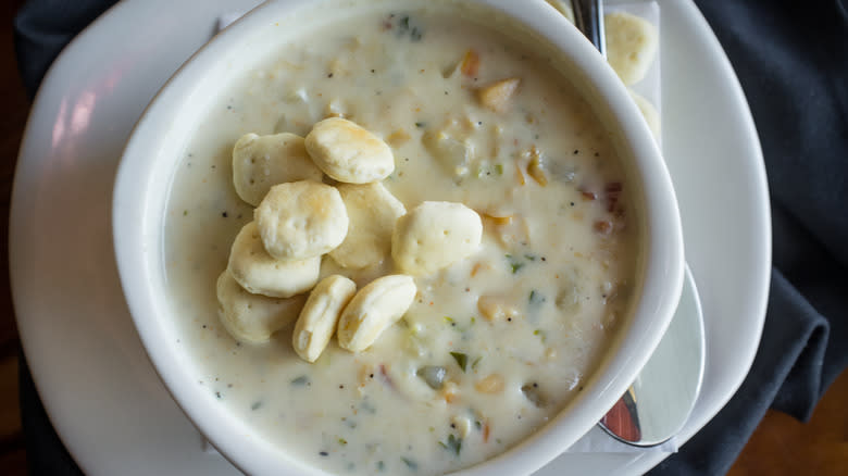 New England oyster chowder ready to eat