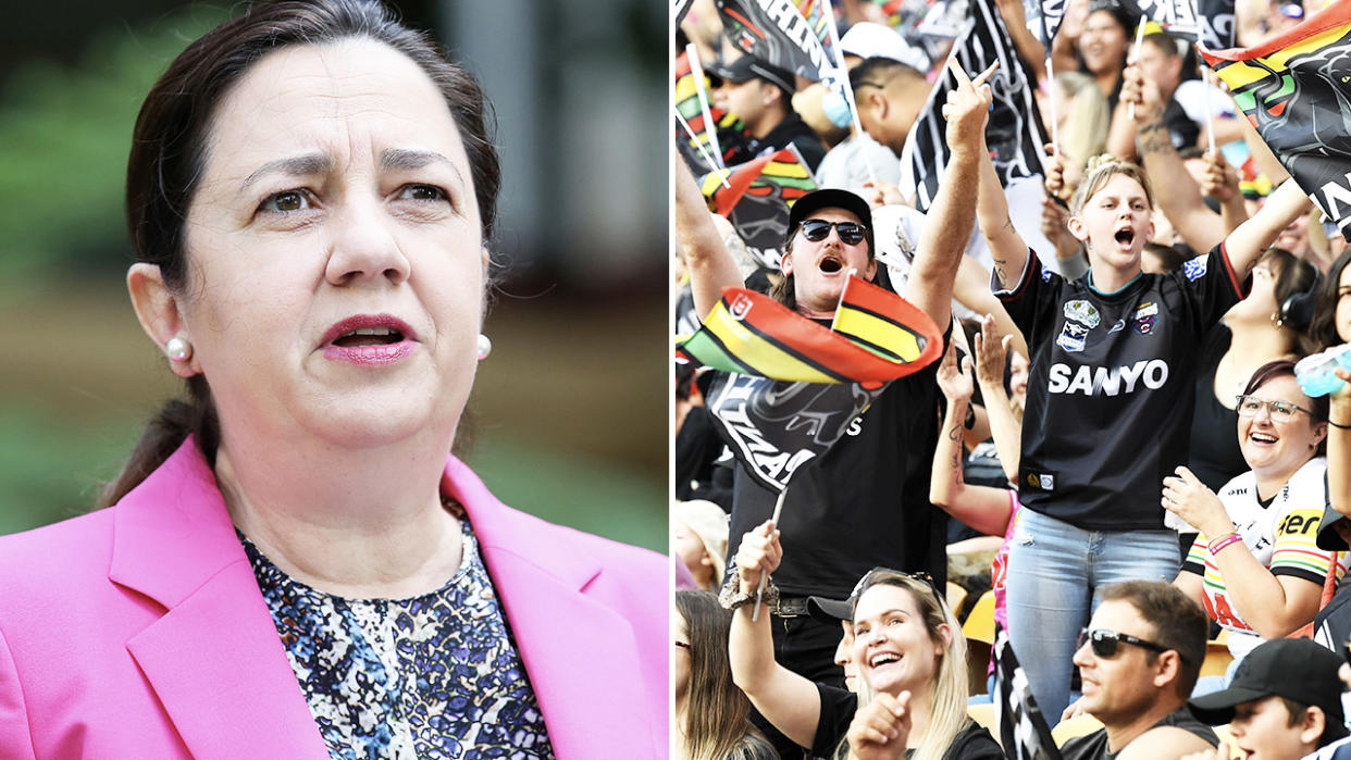 Penrith Panthers fans, pictured here at Suncorp Stadium.