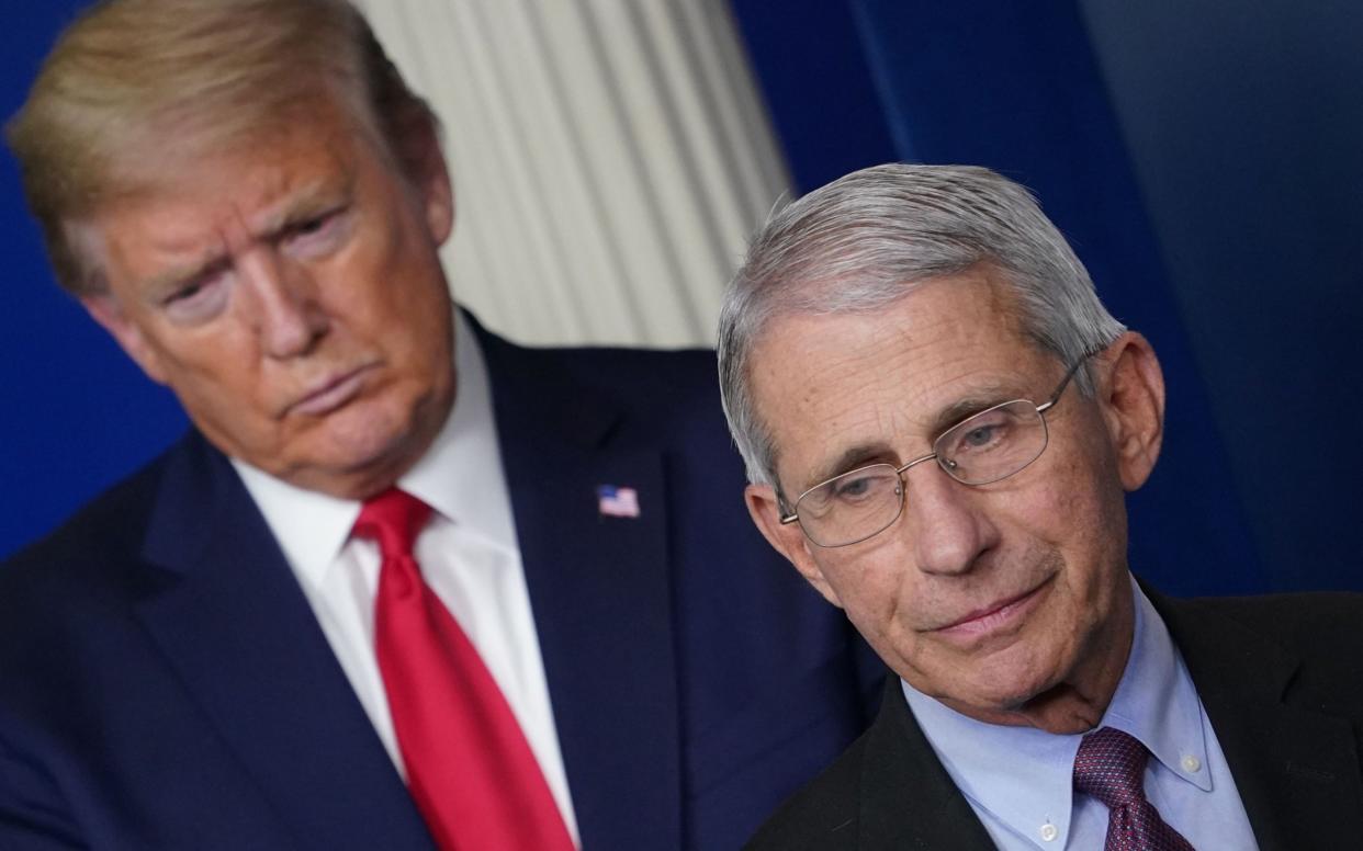 Donald Trump with Anthony Fauci - MANDEL NGAN/AFP