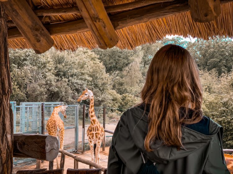 20 Best Zoos in the US