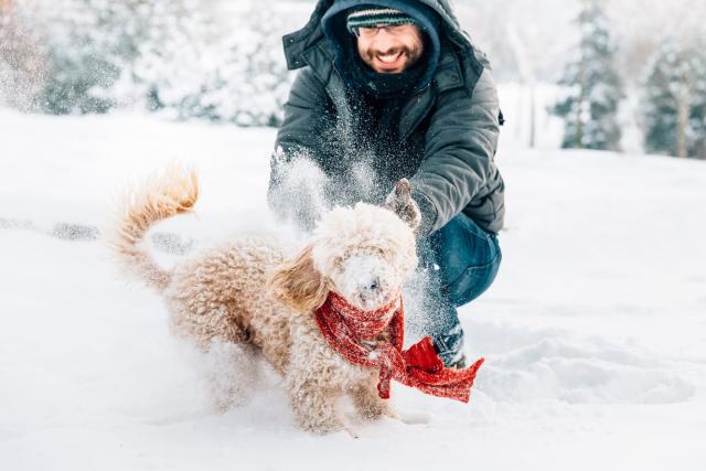 I always wanted one of these snowball makers when i was younger. Once , Snow Dogs