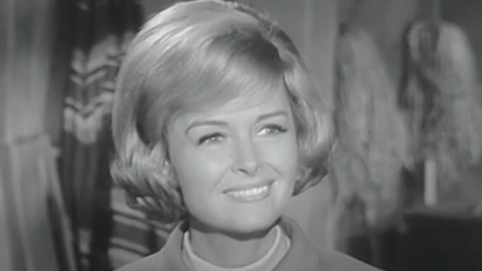 The Donna Reed Show