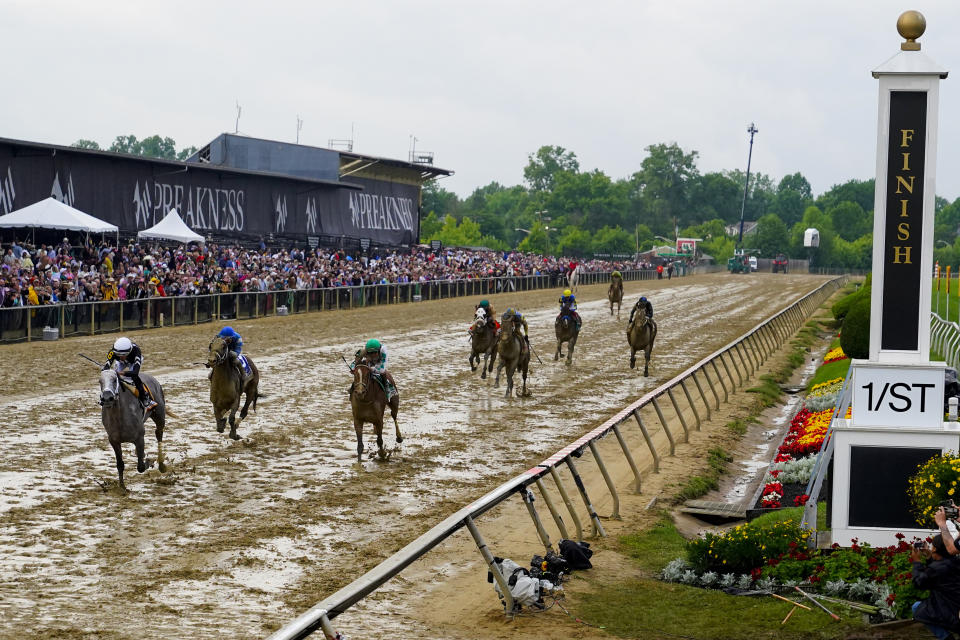 Jaime Torres, left, atop Seize The Grey, leads the pack while winning the Preakness Stakes horse race at Pimlico Race Course, Saturday, May 18, 2024, in Baltimore. (AP Photo/Julia Nikhinson)